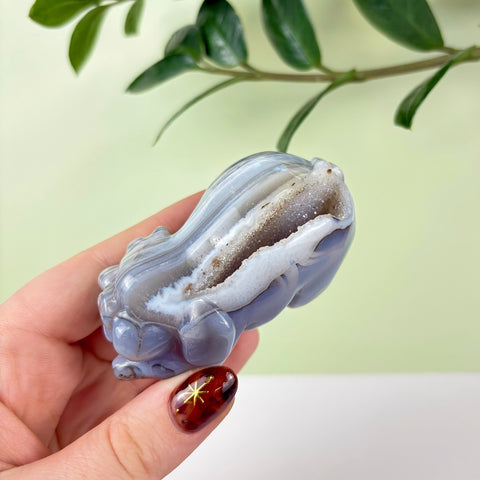 Druzy Agate Playful Piggy - Kenna's Crystals