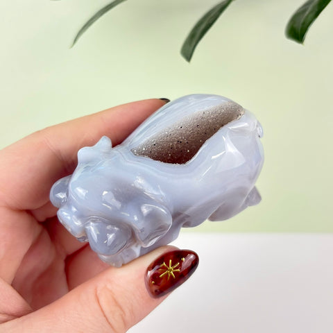 Druzy Agate Playful Piggy - Kenna's Crystals