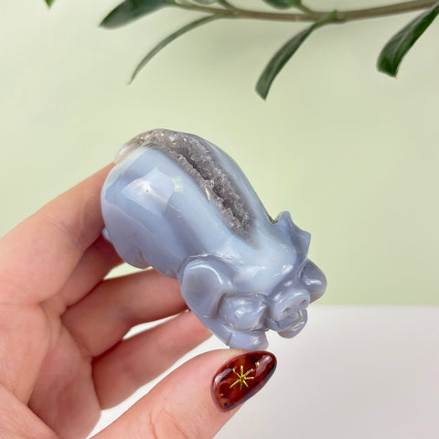Druzy Agate Playful Piggy - Kenna's Crystals