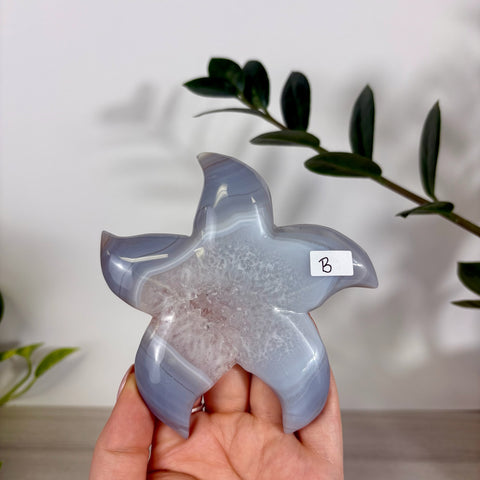 Druzy Agate Sea Star