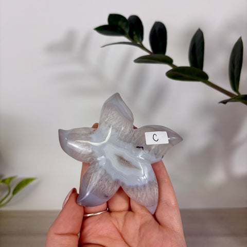 Druzy Agate Sea Star