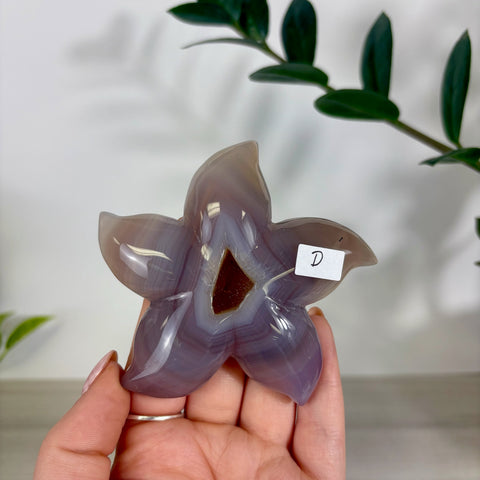 Druzy Agate Sea Star
