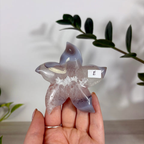 Druzy Agate Sea Star