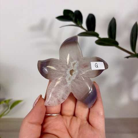 Druzy Agate Sea Star