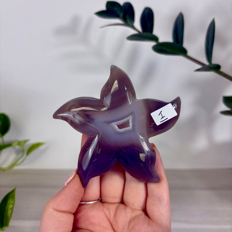 Druzy Agate Sea Star