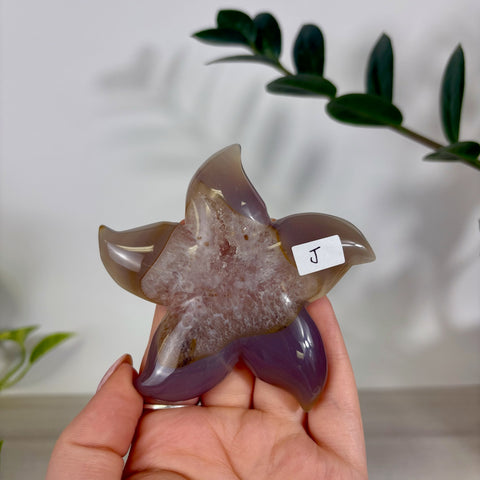 Druzy Agate Sea Star