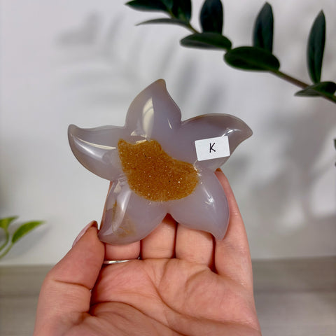 Druzy Agate Sea Star