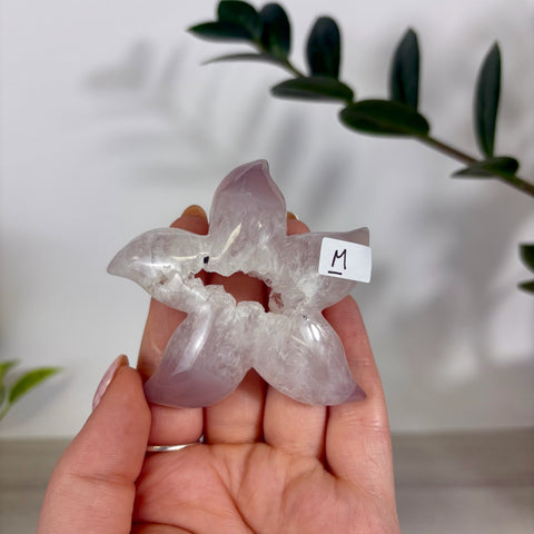 Druzy Agate Sea Star