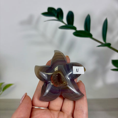 Druzy Agate Sea Star