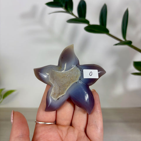 Druzy Agate Sea Star
