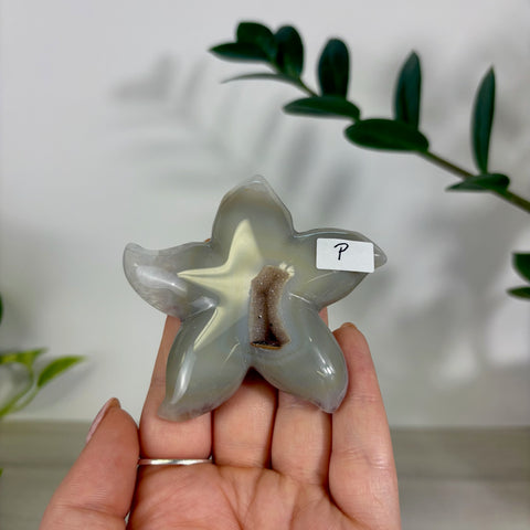 Druzy Agate Sea Star