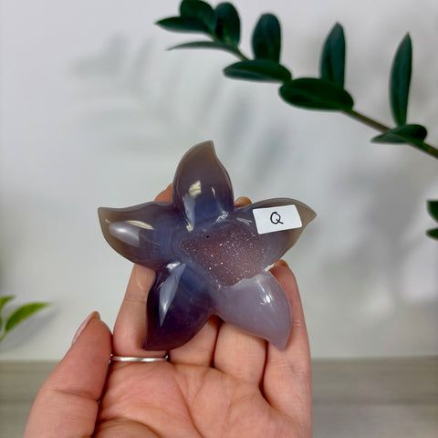 Druzy Agate Sea Star
