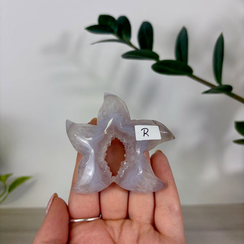 Druzy Agate Sea Star