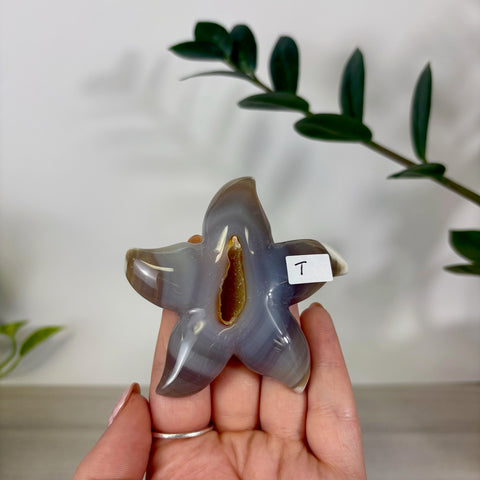 Druzy Agate Sea Star