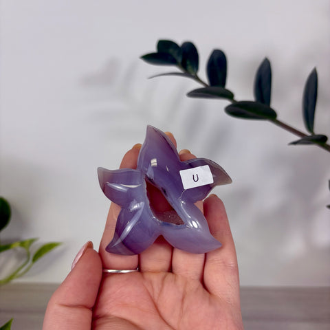 Druzy Agate Sea Star