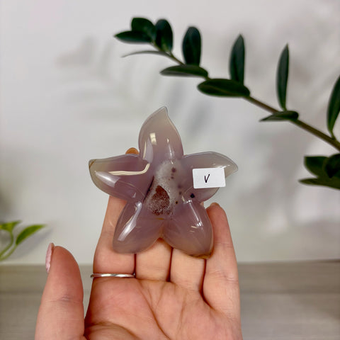 Druzy Agate Sea Star