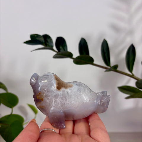 Druzy Agate Seal