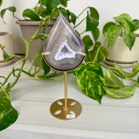 Druzy Agate Teardrop with Custom Stand U 21 - Kenna's Crystals from TikTok