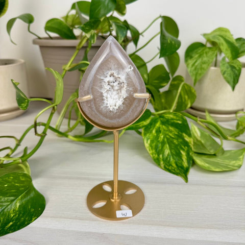 Druzy Agate Teardrop with Custom Stand W 23 - Kenna's Crystals from TikTok