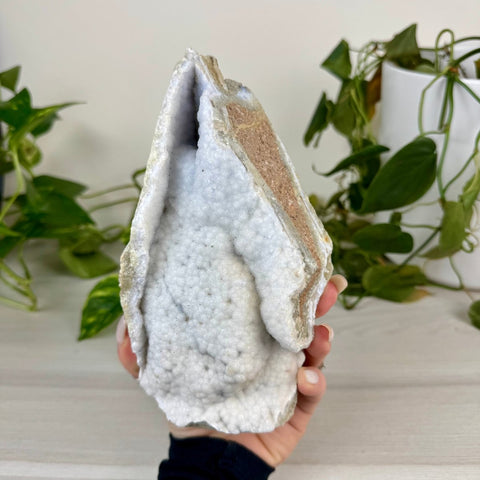 Druzy Blue Lace Agate Chunk 233 18 - Kenna's Crystals from TikTok