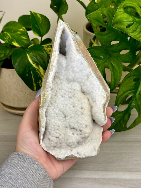 Druzy Blue Lace Agate Chunk 233 22 - Kenna's Crystals from TikTok