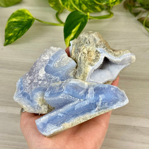 Druzy Blue Lace Agate Chunk 55 6 - Kenna's Crystals from TikTok