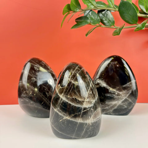 Three polished, dark brown smoky quartz free-form crystals with white mineral inclusions on a white surface.