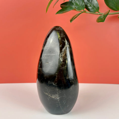 Polished dark smoky quartz free form crystal with natural inclusions against a coral background.