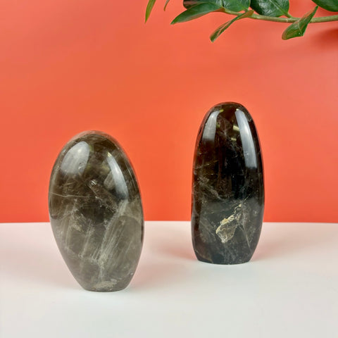 Two polished, dark smoky quartz free-form crystals with natural internal inclusions against a coral background.