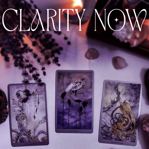 Exclusive Tarot Reading by Kenna Digital Download Clarity NOW Spread - 3 Card Pull 2 - Kenna's Crystals from TikTok