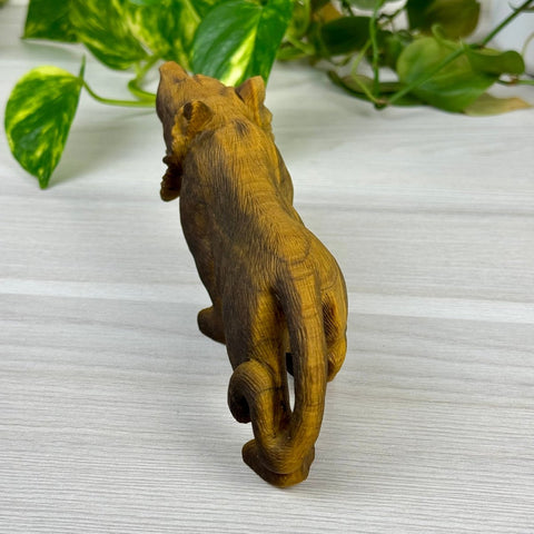 Extremely Detailed Tiger's Eye Carving - Colin 4 - Kenna's Crystals from TikTok