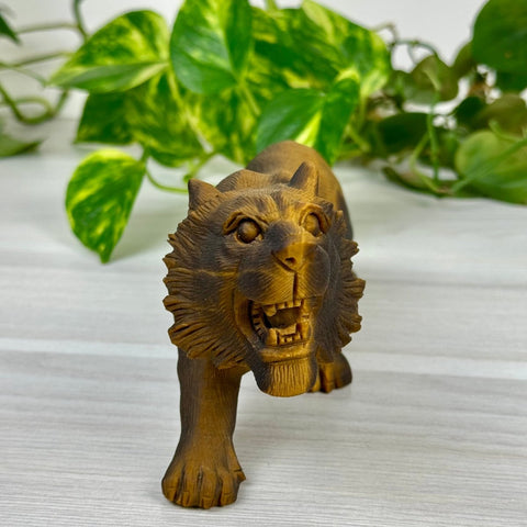 Extremely Detailed Tiger's Eye Carving - Diego 2 - Kenna's Crystals from TikTok