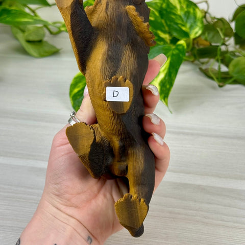 Extremely Detailed Tiger's Eye Carving - Diego 6 - Kenna's Crystals from TikTok