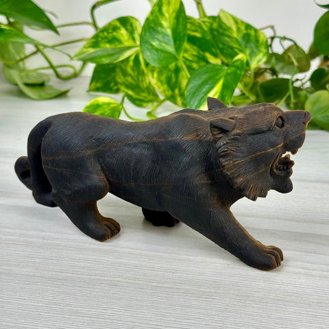 Extremely Detailed Tiger's Eye Carving - Diego 3 - Kenna's Crystals from TikTok