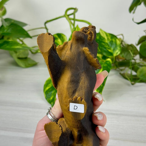 Extremely Detailed Tiger's Eye Carving - Diego 5 - Kenna's Crystals from TikTok