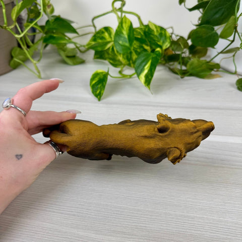 Extremely Detailed Tiger's Eye Carving - Diego 4 - Kenna's Crystals from TikTok