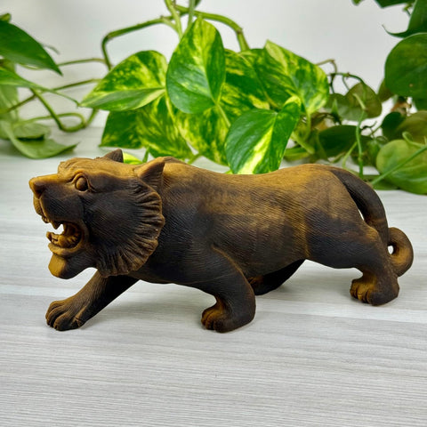 Extremely Detailed Tiger's Eye Carving - Diego 1 - Kenna's Crystals from TikTok