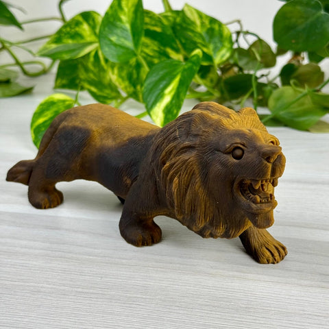 Extremely Detailed Tiger's Eye Carving - Elias 5 - Kenna's Crystals from TikTok