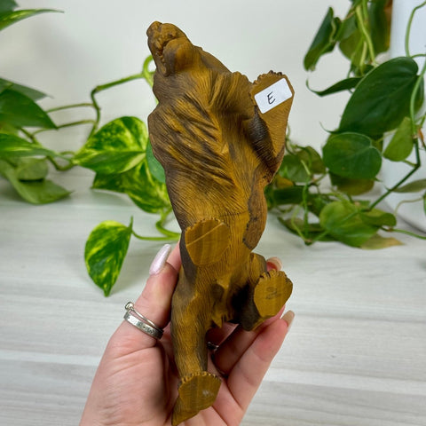 Extremely Detailed Tiger's Eye Carving - Elias 6 - Kenna's Crystals from TikTok