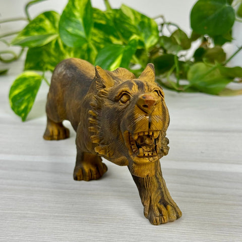 Extremely Detailed Tiger's Eye Carving - Faden 2 - Kenna's Crystals from TikTok