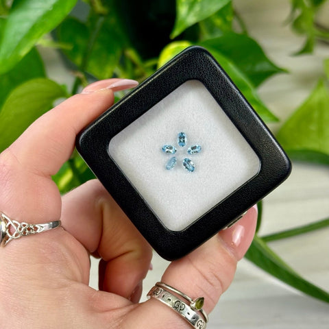 Faceted Aquamarine Set 122 2 - Kenna's Crystals from TikTok