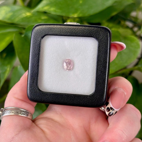 Faceted Morganite B 2 - Kenna's Crystals from TikTok