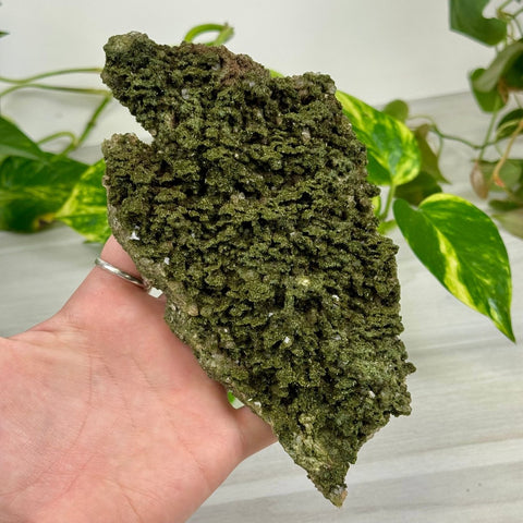 Fairy Forest Quartz A2 27 - Kenna's Crystals from TikTok