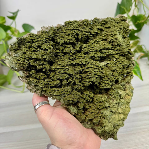 Fairy Forest Quartz E 5 - Kenna's Crystals from TikTok