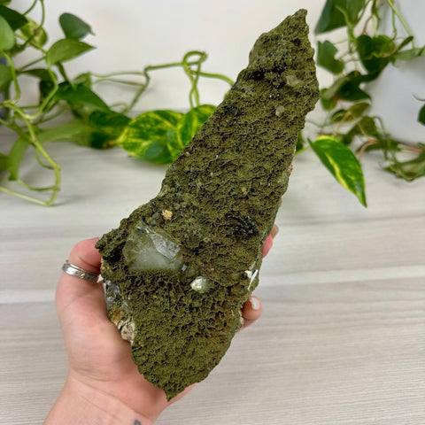 Fairy Forest Quartz F 6 - Kenna's Crystals from TikTok