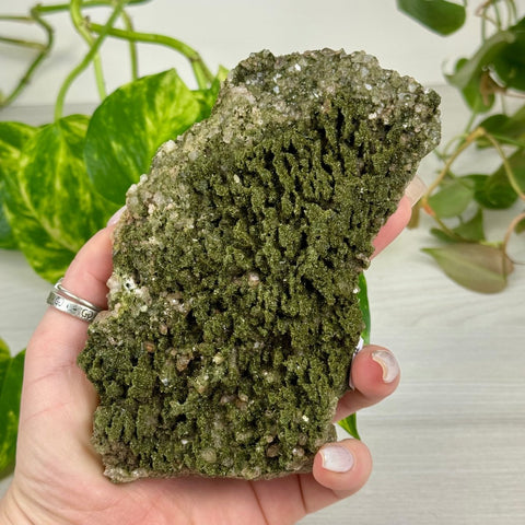 Fairy Forest Quartz G2 33 - Kenna's Crystals from TikTok