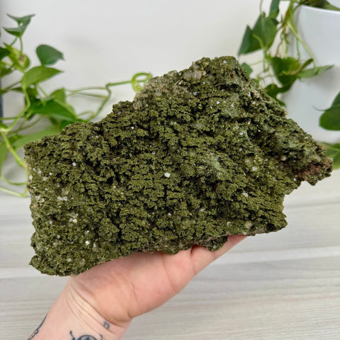 Fairy Forest Quartz L 12 - Kenna's Crystals from TikTok