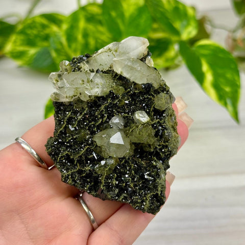 Fairy Forest Quartz M3 65 - Kenna's Crystals from TikTok