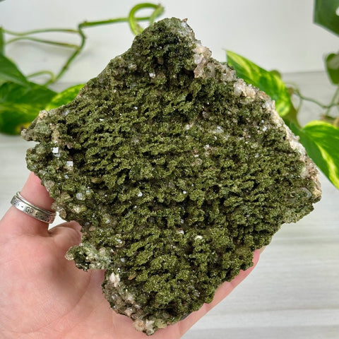 Fairy Forest Quartz P 16 - Kenna's Crystals from TikTok