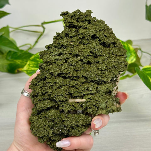 Fairy Forest Quartz Q 17 - Kenna's Crystals from TikTok